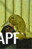 thumb_screen_shot_2012-06-24_at_10_13_11_pm~1.png