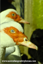 screen_shot_2012-06-24_at_10_13_56_pm.png