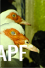 thumb_screen_shot_2012-06-24_at_10_13_56_pm~1.png