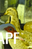 thumb_screen_shot_2012-06-24_at_10_14_11_pm~1.png
