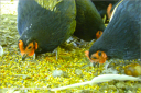 screen_shot_2012-06-25_at_5_56_56_pm.png