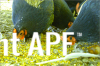 thumb_screen_shot_2012-06-25_at_5_56_56_pm~0.png