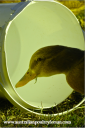 screen_shot_2012-06-25_at_5_57_52_pm.png