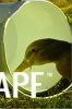 thumb_screen_shot_2012-06-25_at_5_57_52_pm~1.png