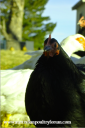 screen_shot_2012-06-25_at_5_58_18_pm.png