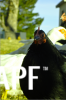 thumb_screen_shot_2012-06-25_at_5_58_18_pm~1.png