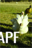 thumb_screen_shot_2012-06-25_at_5_58_53_pm~1.png