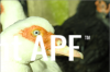 thumb_screen_shot_2012-06-25_at_8_24_35_pm~0.png