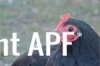 thumb_screen_shot_2012-06-25_at_8_24_59_pm~0.png