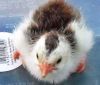 thumb_2013-04-15_17_28_07.jpg