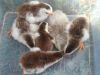 thumb_2013-04-16_10_01_28.jpg