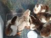 thumb_2013-04-16_10_02_02.jpg