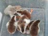 thumb_2013-04-16_10_02_23.jpg