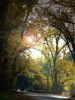 thumb_country_road_in_autumn~1.jpg
