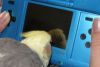 thumb_game_bird_28229.jpg
