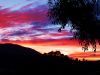 thumb_morning_after_the_earthquake_28229~1.jpg