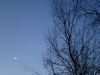 thumb_new_moon_and_silver_birch_in_winter~1.jpg