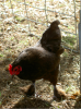 thumb_screen_shot_2012-06-08_at_2_32_58_pm~1.png
