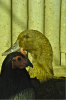 thumb_screen_shot_2012-06-24_at_10_13_11_pm~1.png
