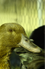 thumb_screen_shot_2012-06-25_at_8_24_11_pm~0.png