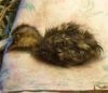 thumb_th_kyahsducklings051-1~0.jpg