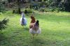 thumb_the_100_acre_wood.jpg