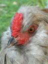 up_close_and_personal.jpg