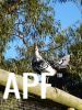 thumb_up_on_the_roof_28229.jpg