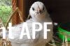 thumb_who_s_a_pretty_chick.jpg