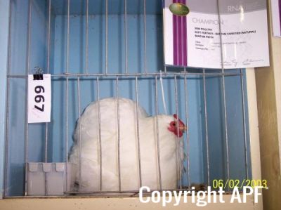 100_2251.jpg