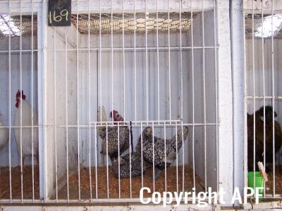 100_2386~0.jpg