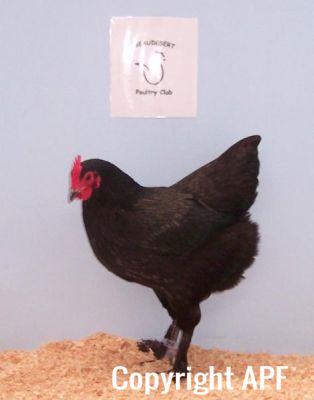 100_25401~0.jpg