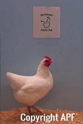 100_25421~0.jpg