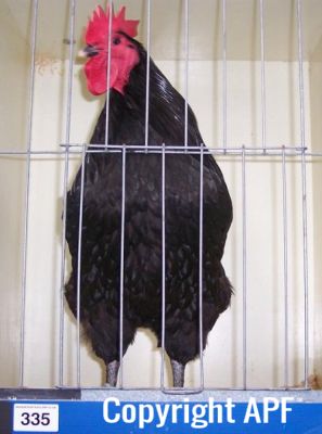 100_2546~0.jpg