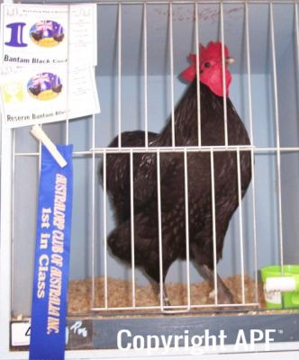 100_2555~0.jpg