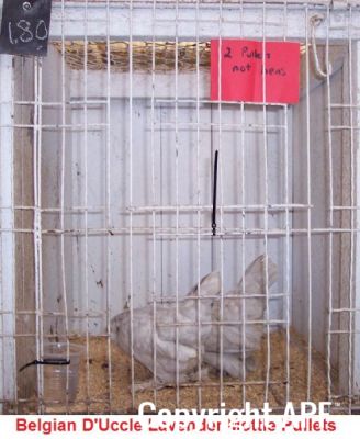 100_2749~0.jpg
