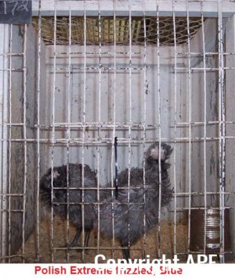 100_2752~0.jpg