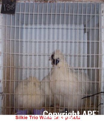 100_2753.jpg
