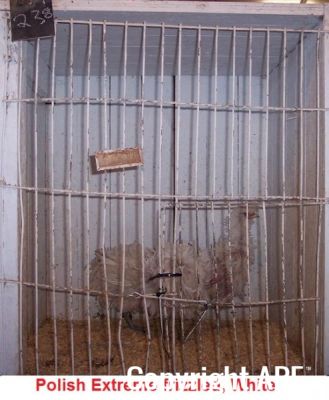 100_2757.jpg