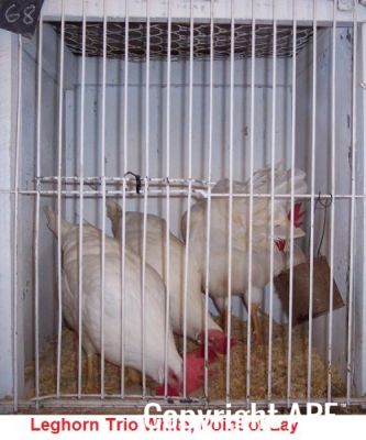 100_2762~0.jpg