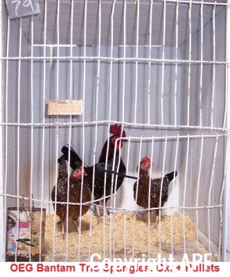 100_2766~0.jpg