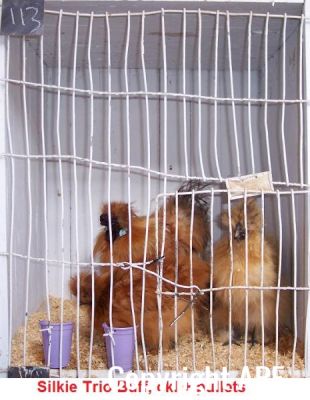 100_2771~0.jpg