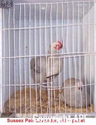 100_2772~0.jpg