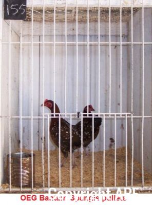 100_2781~0.jpg