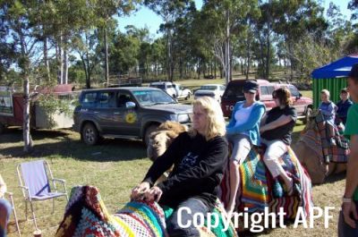 normal_mt_larcom_show_007_-_copy~0.jpg