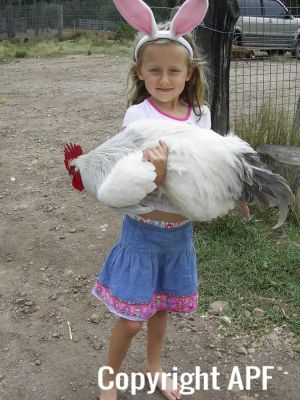 normal_nanango_show_2009_028~0.jpg