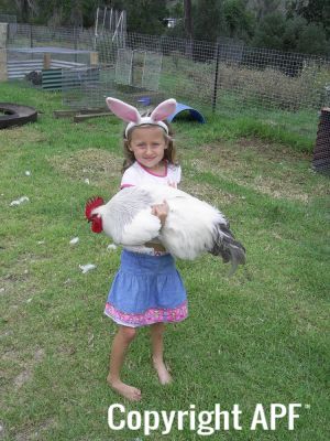 normal_nanango_show_2009_031~0.jpg