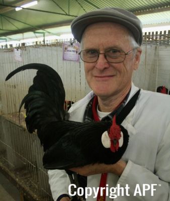 rod_groves_champion_softfeather-1_3~0.jpg