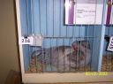 100_2244.jpg
