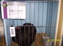 100_2252~0.jpg